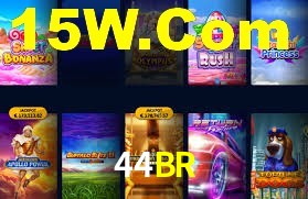 44BR App Interface